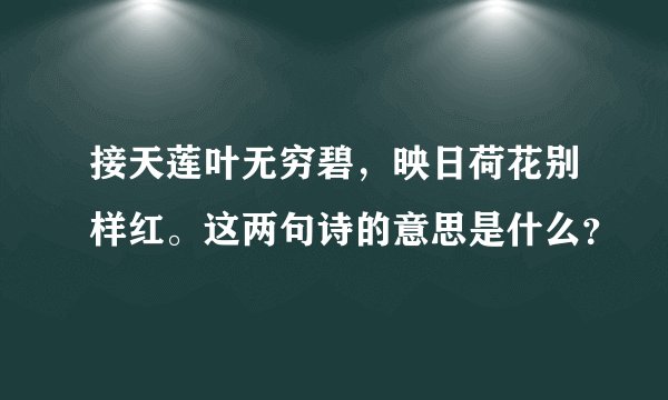 接天莲叶无穷碧，映日荷花别样红。这两句诗的意思是什么？