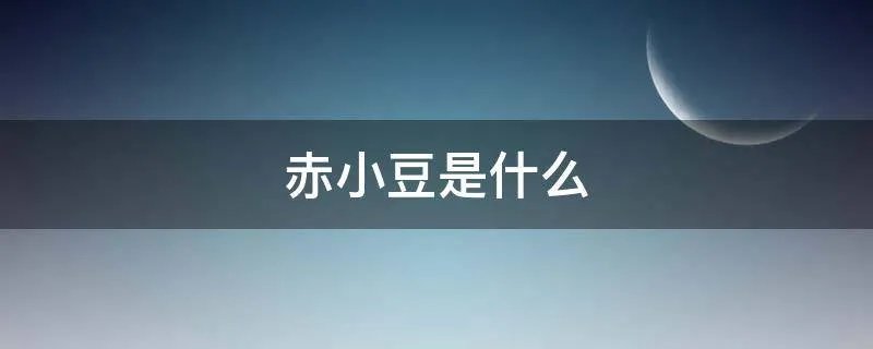 赤小豆是什么