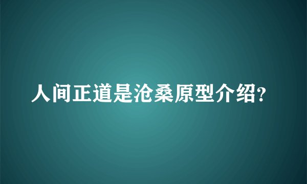 人间正道是沧桑原型介绍？
