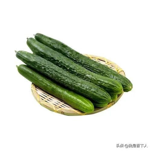 黄瓜种子哪个好？