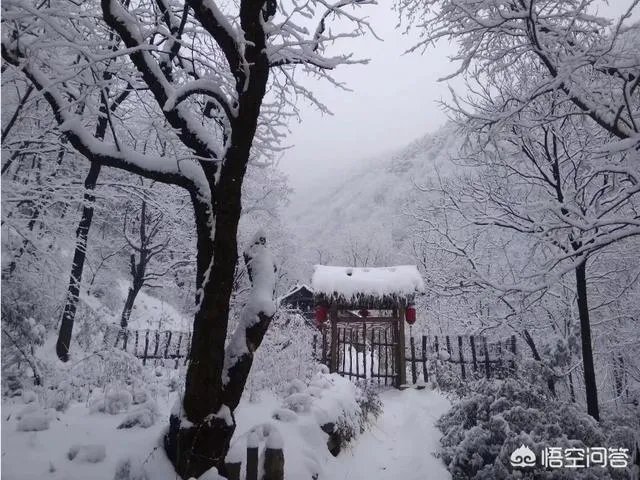 古往今来，为何隐士、修行者会首选终南山隐逸修行？