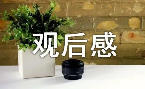 《琴之森》的观后感