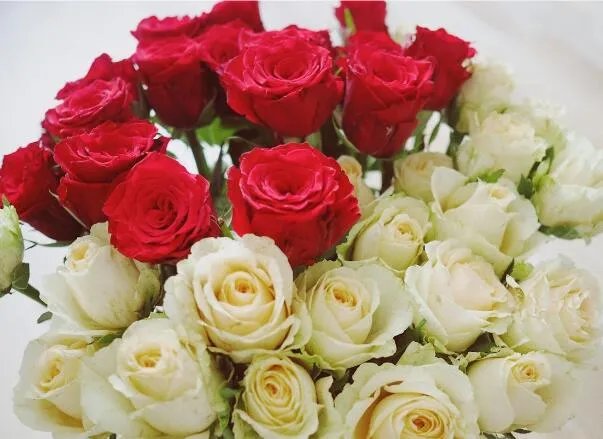 父亲节礼物送什么比较有意义 父亲节送什么花好