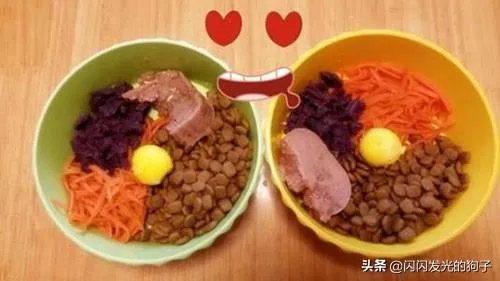 狗狗食欲不振是什么原因?