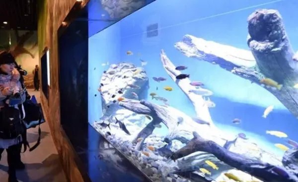兰州极地海洋世界怎么样，值得去玩么？