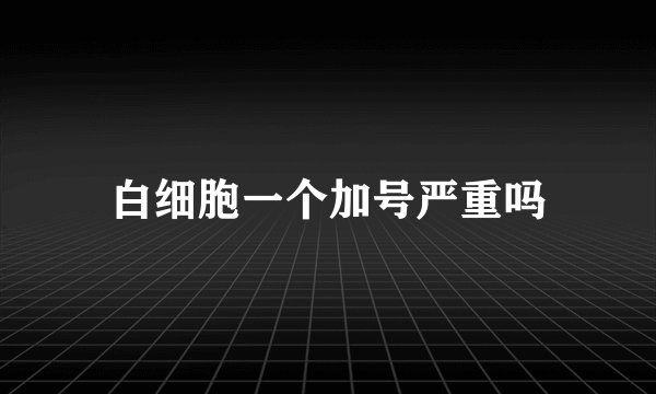 白细胞一个加号严重吗