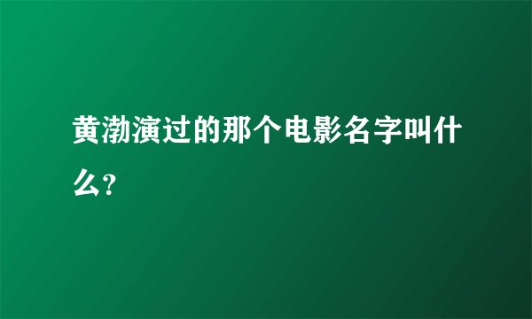 黄渤演过的那个电影名字叫什么？