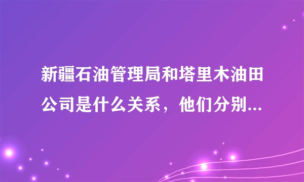 新疆石油管理局和塔里木油田公司是什么关系，他们分别是什么级别的。谢谢