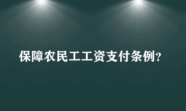 保障农民工工资支付条例？