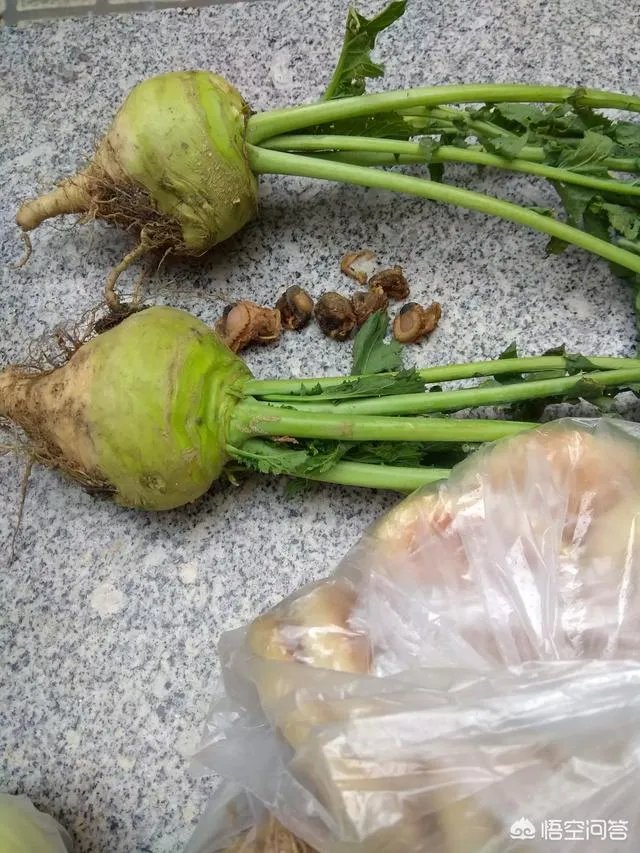 泰语入门如何学习？