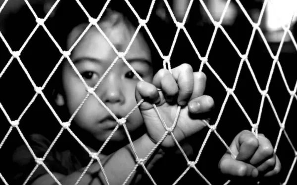 梅姨案主犯二审维持死刑，你如何看待这一判决结果？