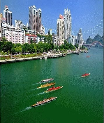 一五一十。打一动物