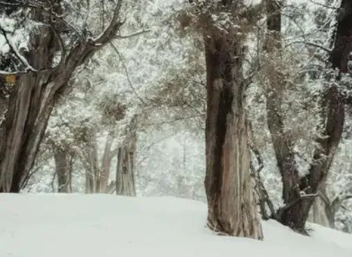 全国多地迎入秋首场降雪