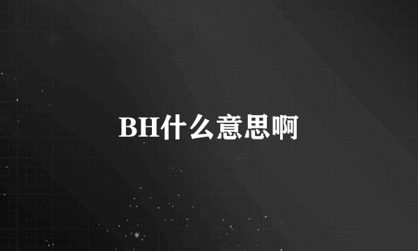 BH什么意思啊