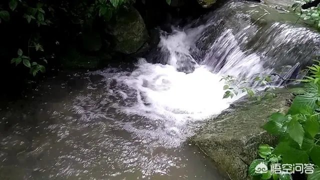 古往今来，为何隐士、修行者会首选终南山隐逸修行？