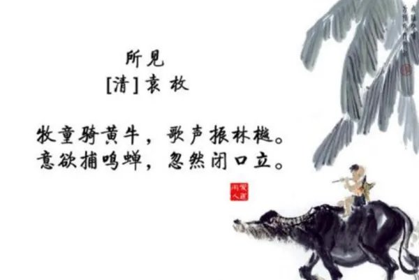 所见的作者读什么