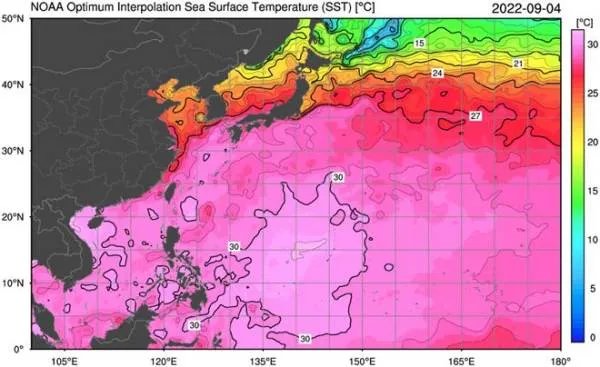 又一个秋台风!第12号台风“梅花”即将生成,这次台风到底有多凶猛?