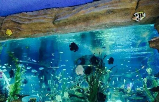 兰州极地海洋世界怎么样，值得去玩么？