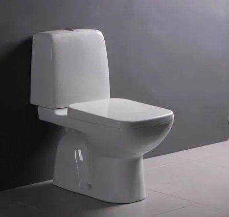 家里的马桶结构是什么样的