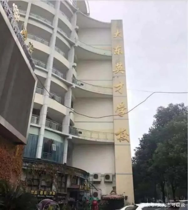 她被称为“最美通缉犯”，曾是班花，为何最后放弃上市公司工作？