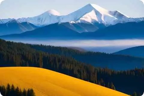 大村智详细资料大全