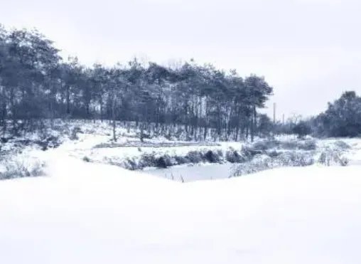 全国多地迎入秋首场降雪