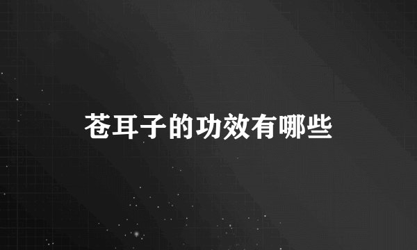 苍耳子的功效有哪些