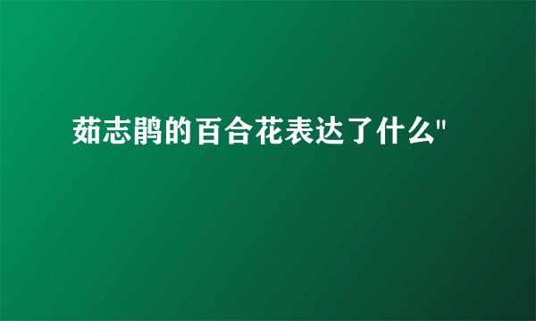 茹志鹃的百合花表达了什么