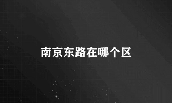 南京东路在哪个区