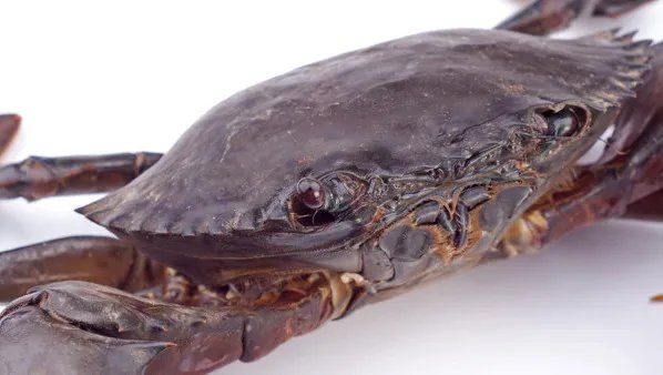 经期不能吃什么