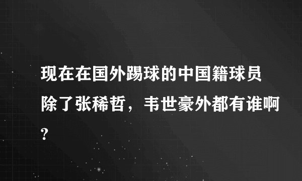 现在在国外踢球的中国籍球员除了张稀哲，韦世豪外都有谁啊?