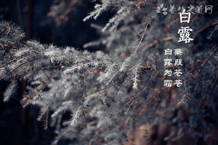 暴雨期间行人如何确保安全？