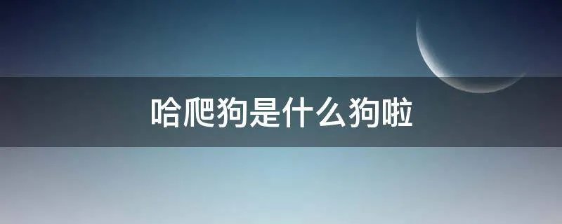 哈爬狗是什么狗啦