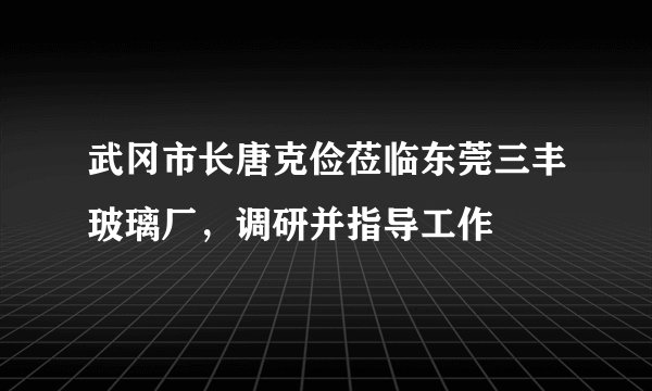 武冈市长唐克俭莅临东莞三丰玻璃厂，调研并指导工作
