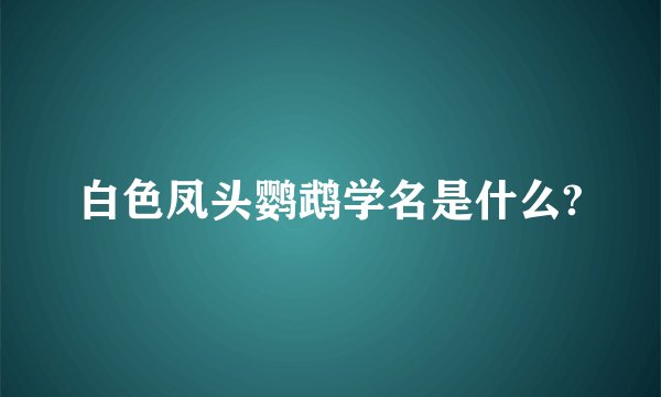 白色凤头鹦鹉学名是什么?