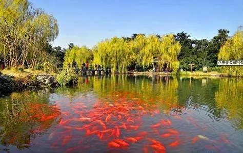 杭州西湖十大景点有那些