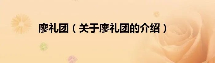 廖礼团（关于廖礼团的介绍）