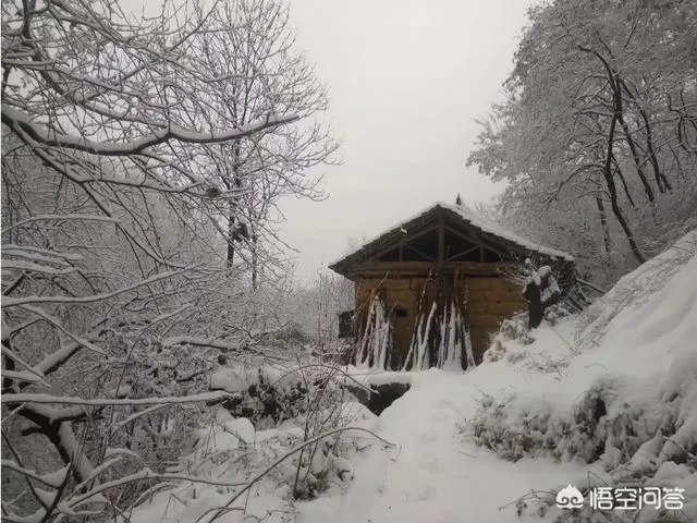 古往今来，为何隐士、修行者会首选终南山隐逸修行？