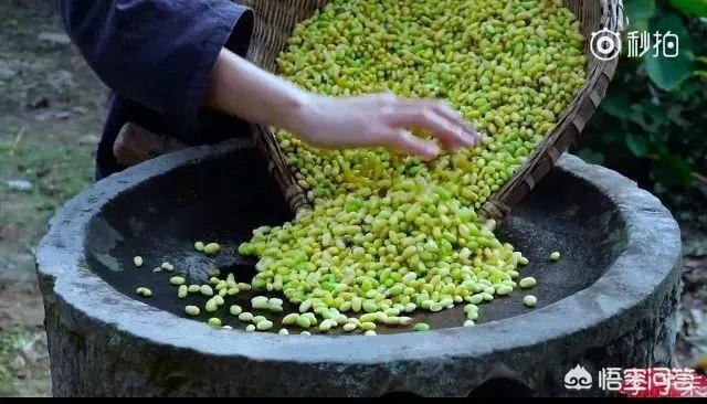 有没有人觉得日食记一类的美食视频看着很假？