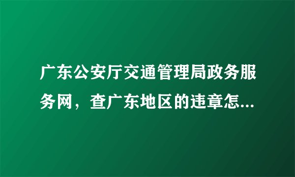 广东公安厅交通管理局政务服务网，查广东地区的违章怎么老是打不开呢？