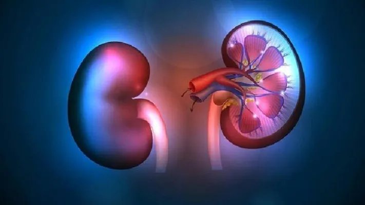 尿毒症病人食谱有哪些