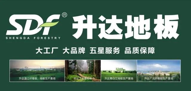 中国十大地板品牌排行榜前五名揭秘 较好的地板品牌有哪些