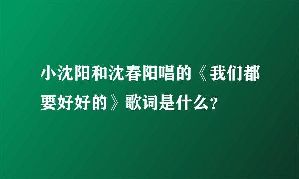 小沈阳和沈春阳唱的《我们都要好好的》歌词是什么？