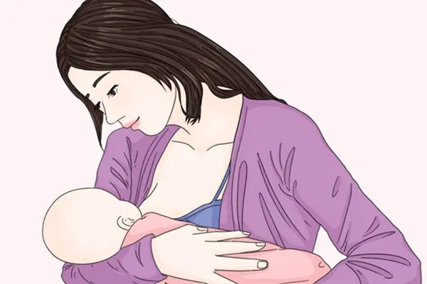 榆钱的功效与作用