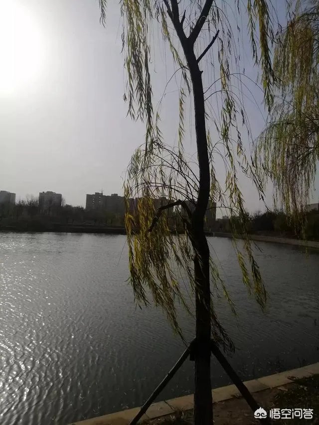 现在的90后是不是真的已经老了?