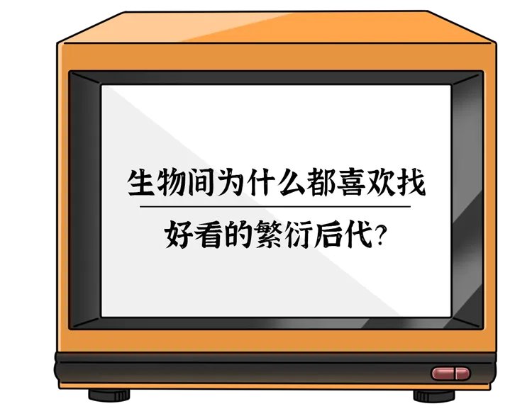 为什么男人更喜欢漂亮的女人？科学解释：“好色”不是男人的错