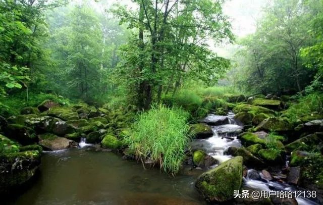 伊春必看景点？
