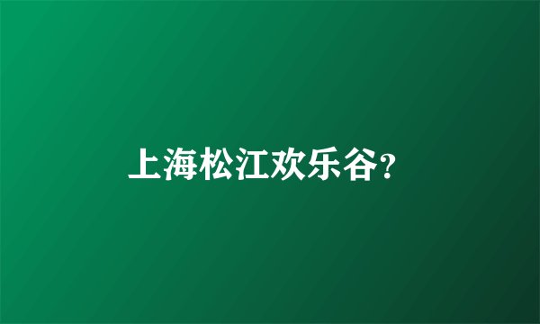 上海松江欢乐谷？