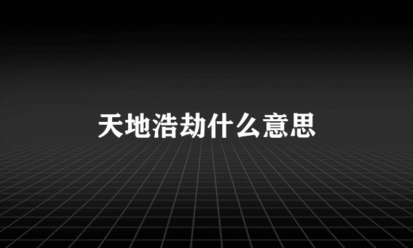 天地浩劫什么意思