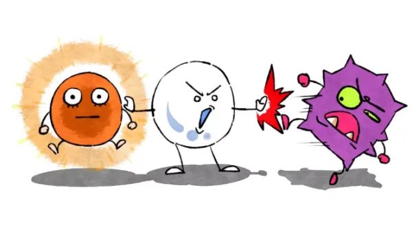 常用的食品漂白剂有哪些